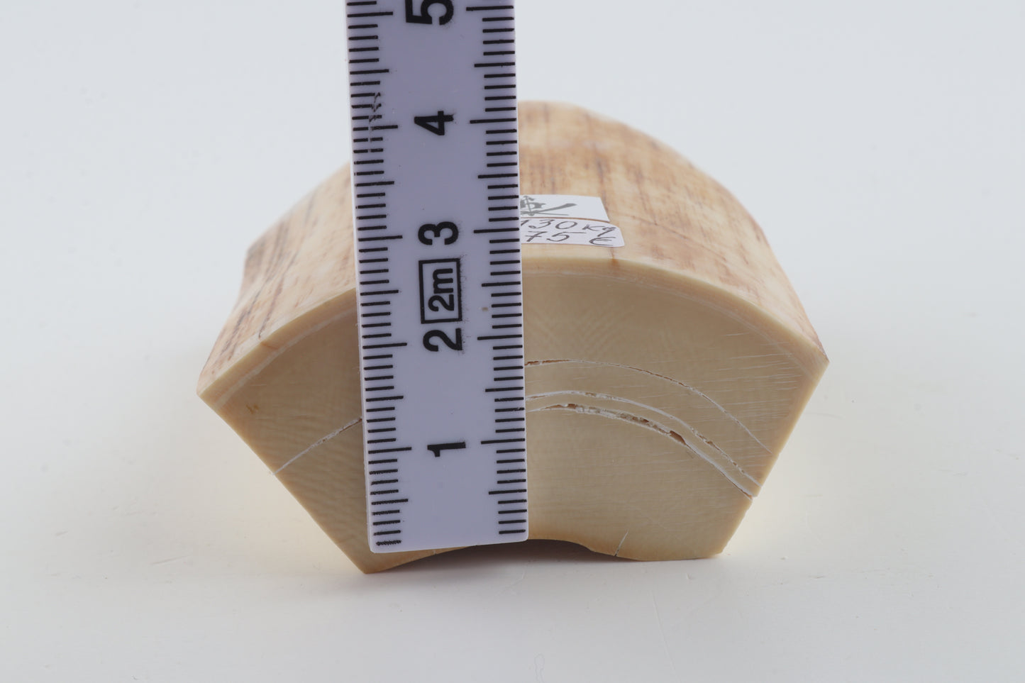 Natural mammoth ivory piece