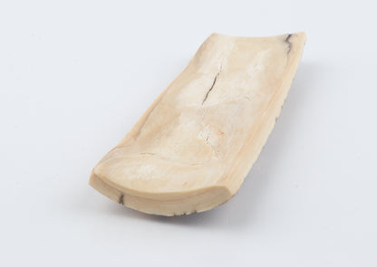 Brown-white mammoth bark