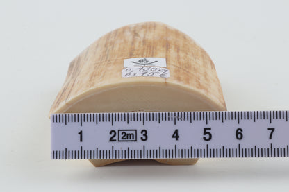 Natural mammoth ivory piece