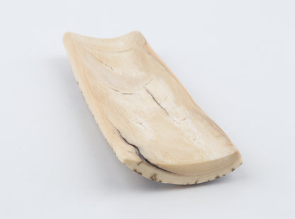 Brown-white mammoth bark
