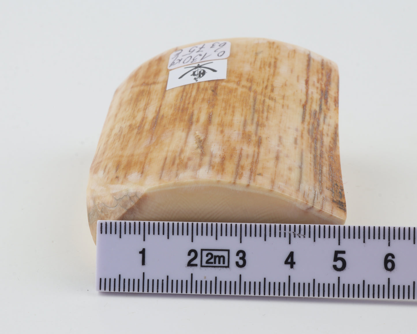 Natural mammoth ivory piece