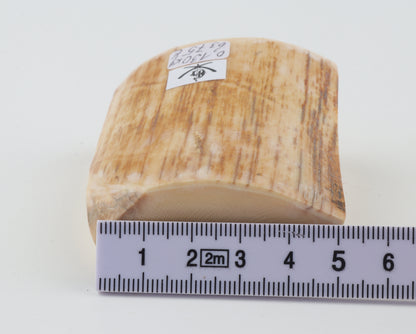 Natural mammoth ivory piece