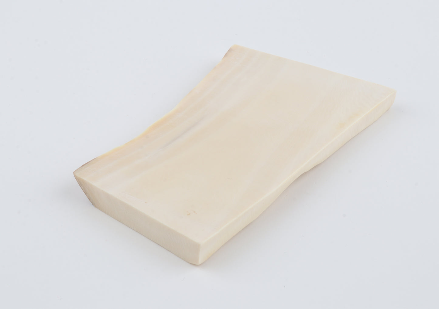 White mammoth ivory segment