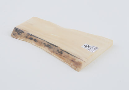 White mammoth ivory segment