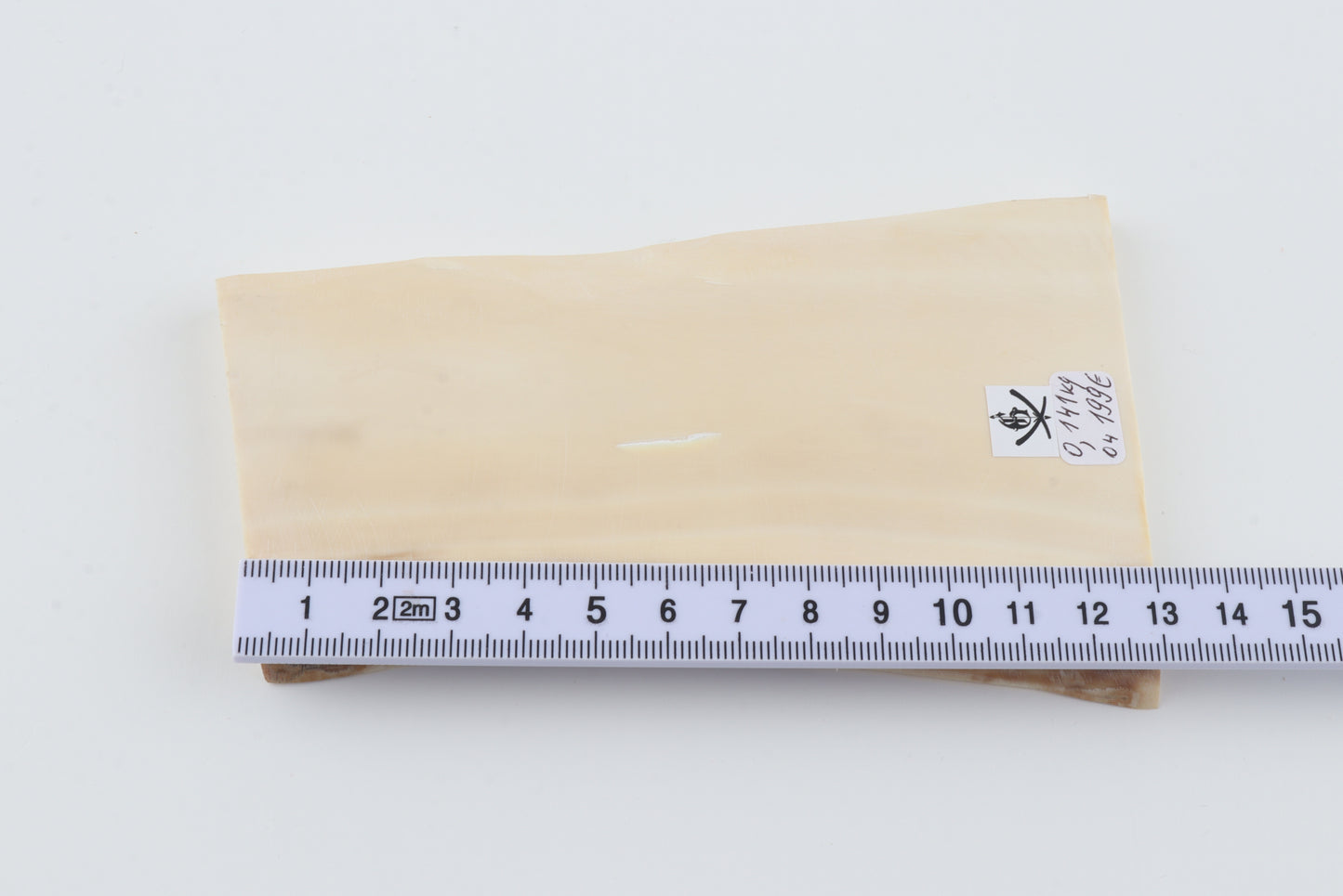 White mammoth ivory segment