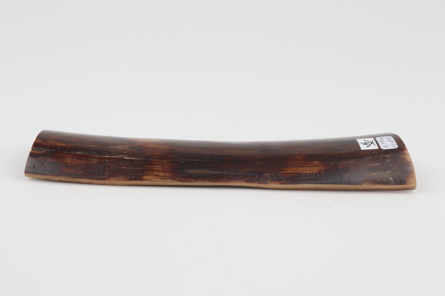 Brown mammoth bark