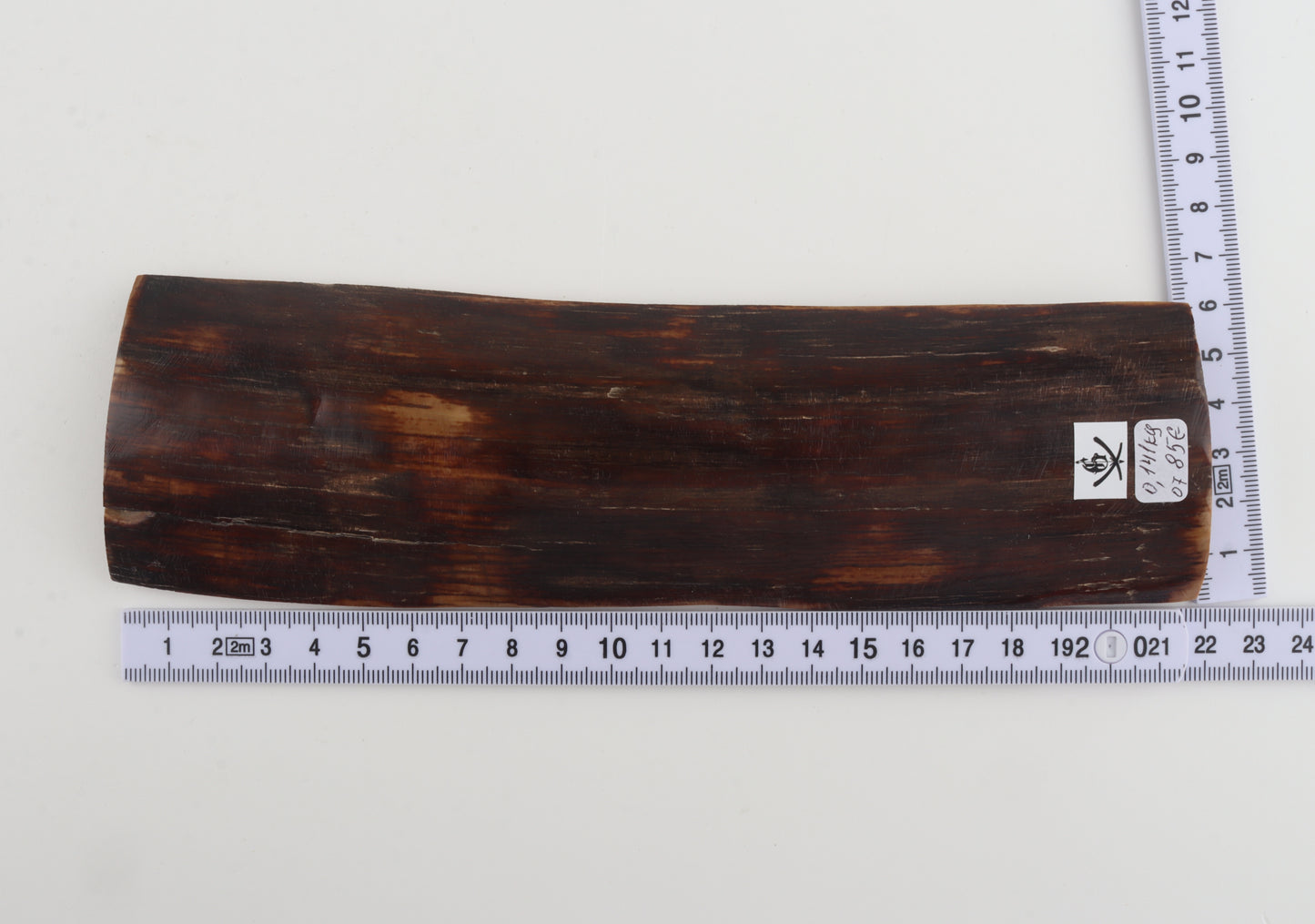 Brown mammoth bark