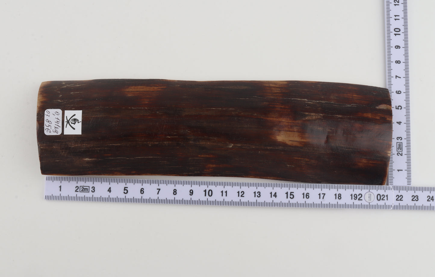 Brown mammoth bark