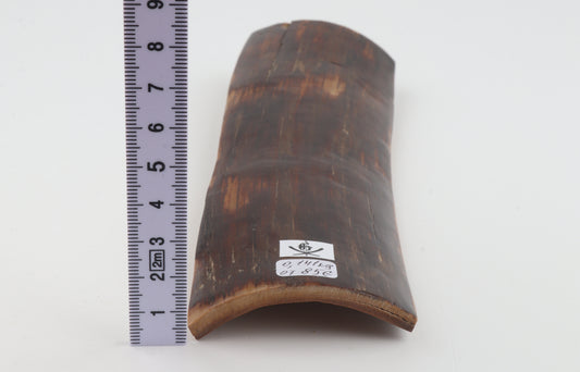 Brown mammoth bark