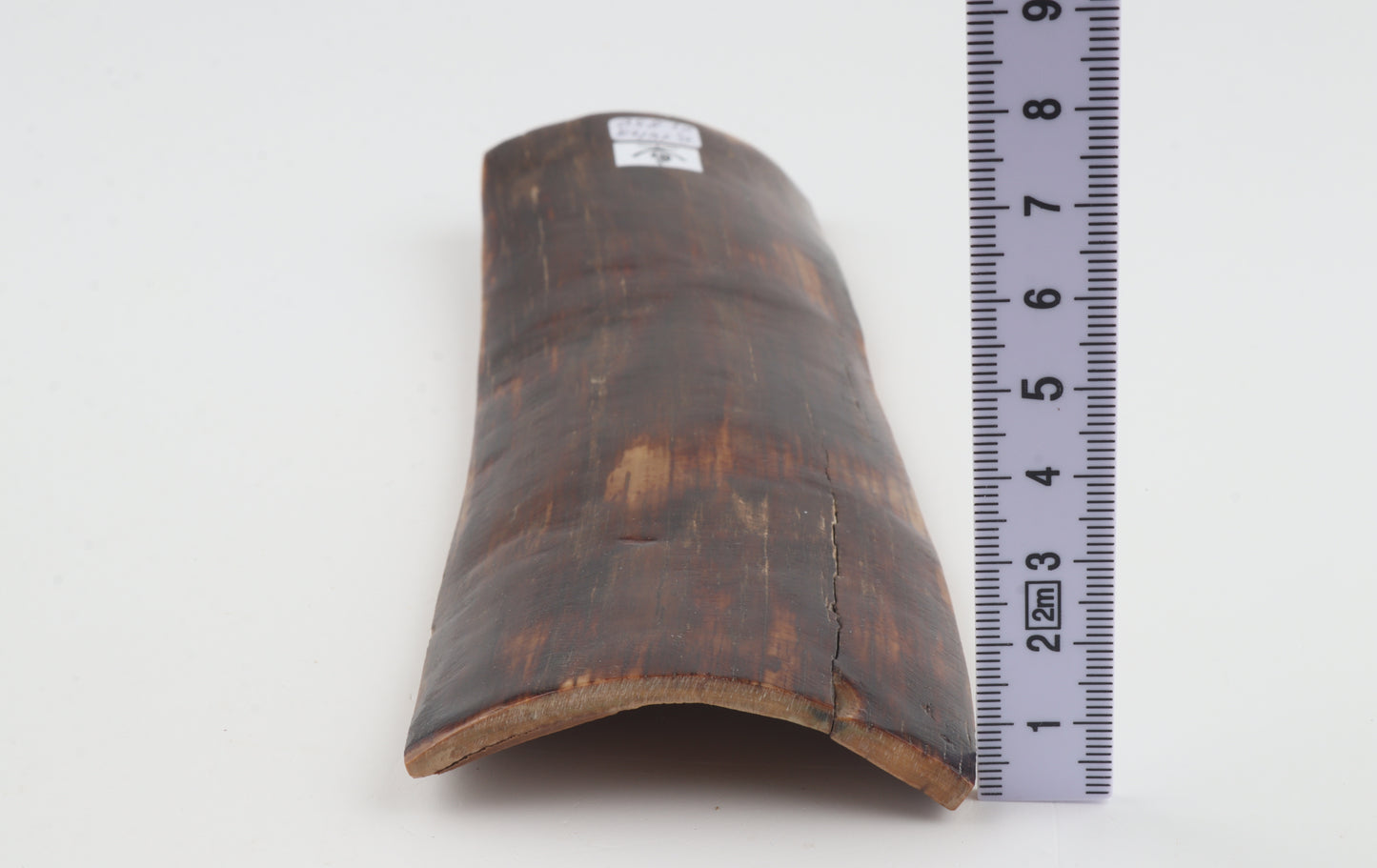 Brown mammoth bark