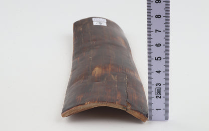 Brown mammoth bark