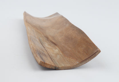 Brown mammoth bark
