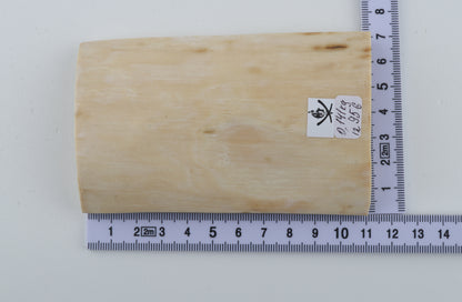 Natural mammoth ivory piece