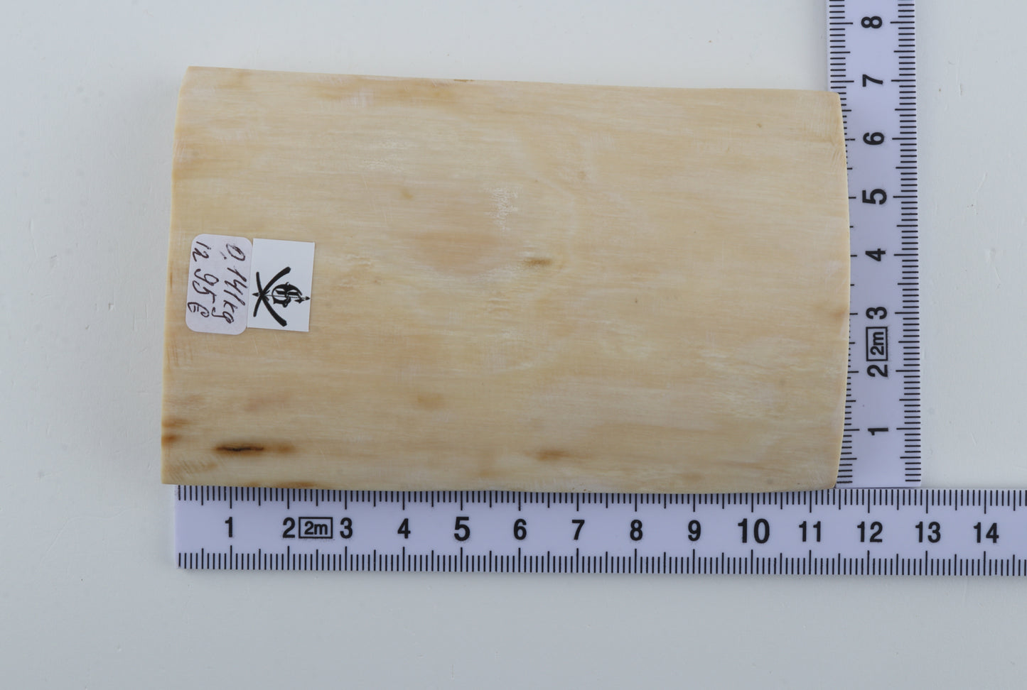 Natural mammoth ivory piece