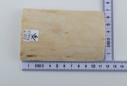 Natural mammoth ivory piece