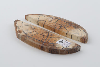 Stabilised mammoth ivory scales