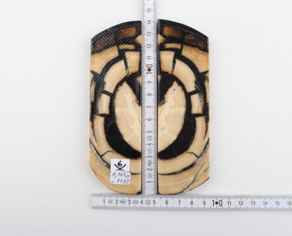 Stabilised mammoth ivory scales