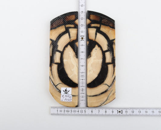 Stabilised mammoth ivory scales