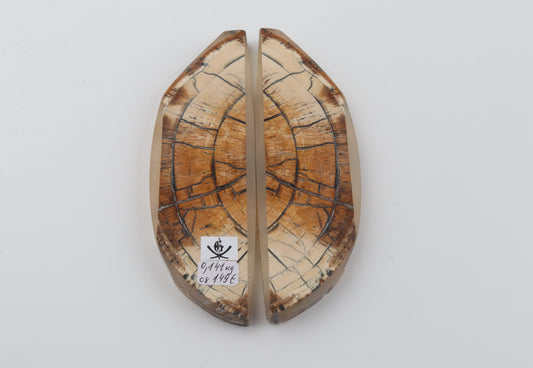 Stabilised mammoth ivory scales