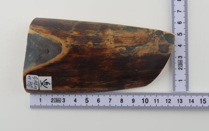 Brown mammoth bark