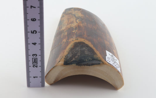 Brown mammoth bark