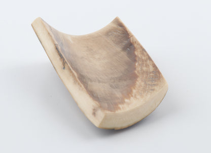 Brown mammoth bark