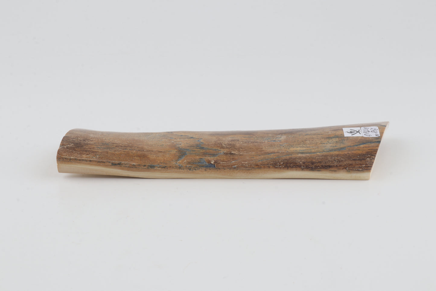 Beige mammoth bark