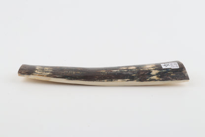 Natural woolly mammoth bark