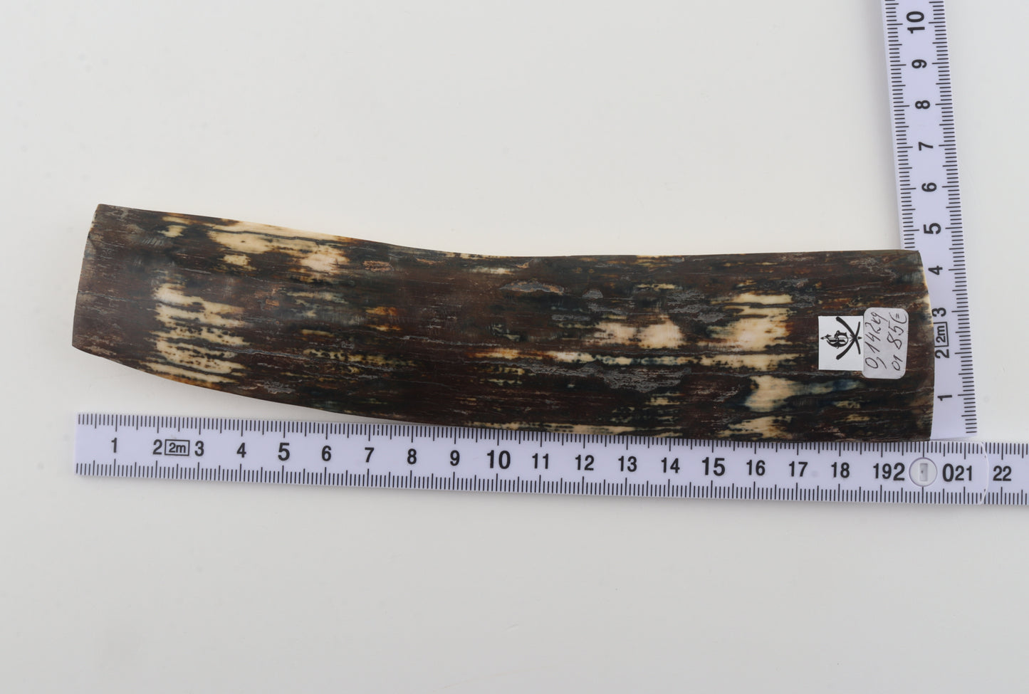 Natural woolly mammoth bark