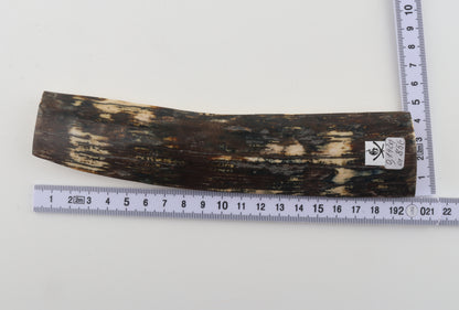Natural woolly mammoth bark