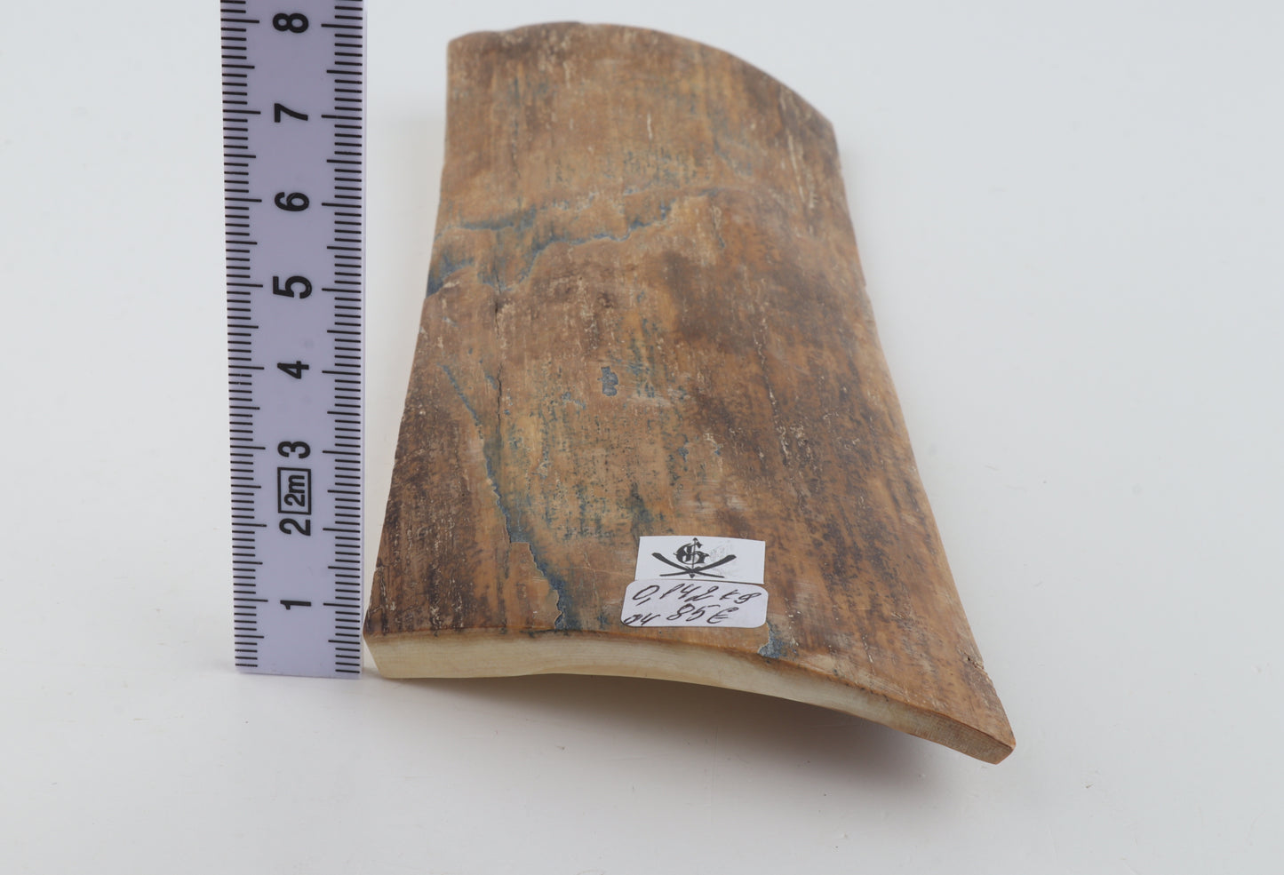 Beige mammoth bark