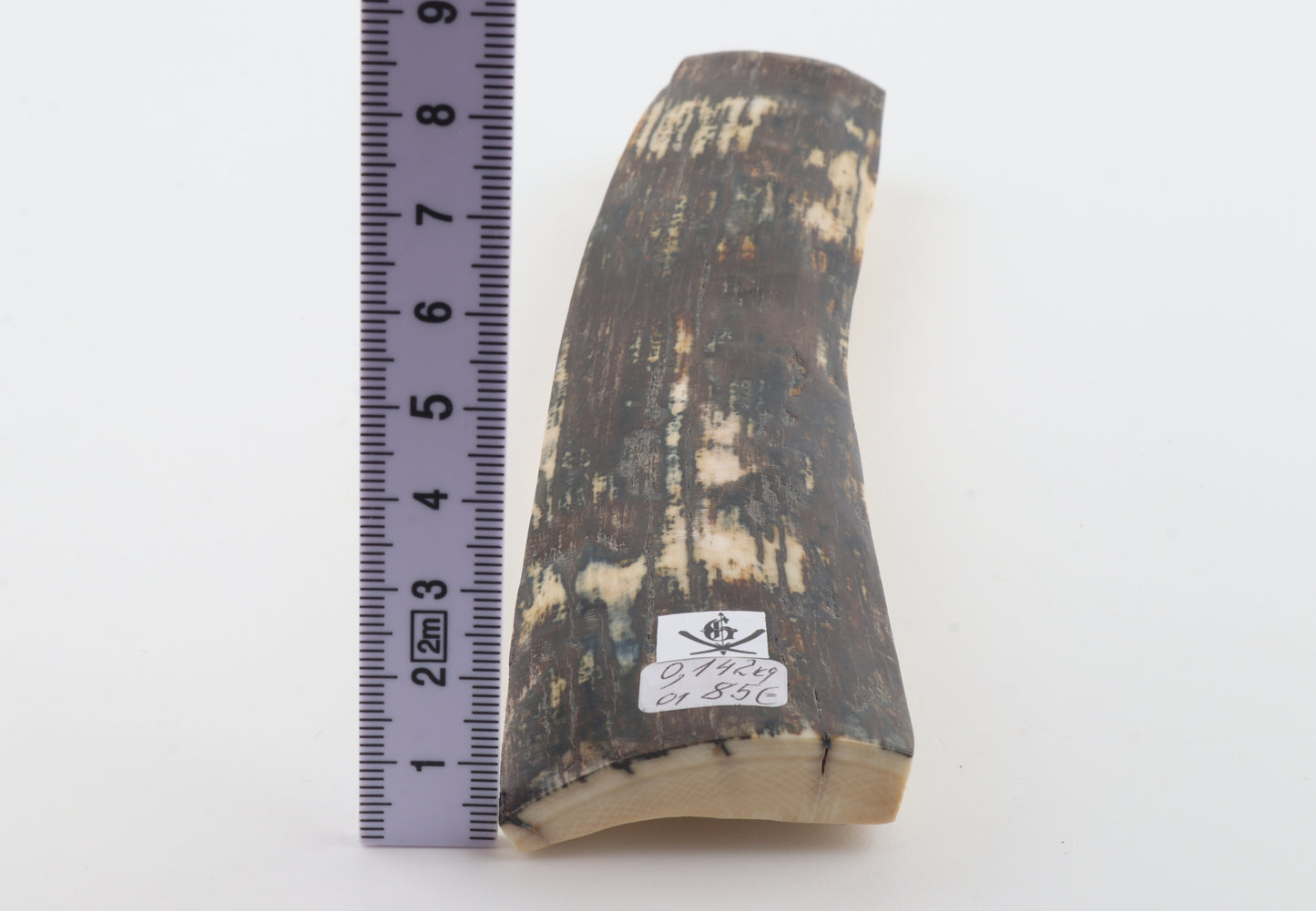 Natural woolly mammoth bark