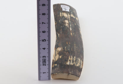 Natural woolly mammoth bark