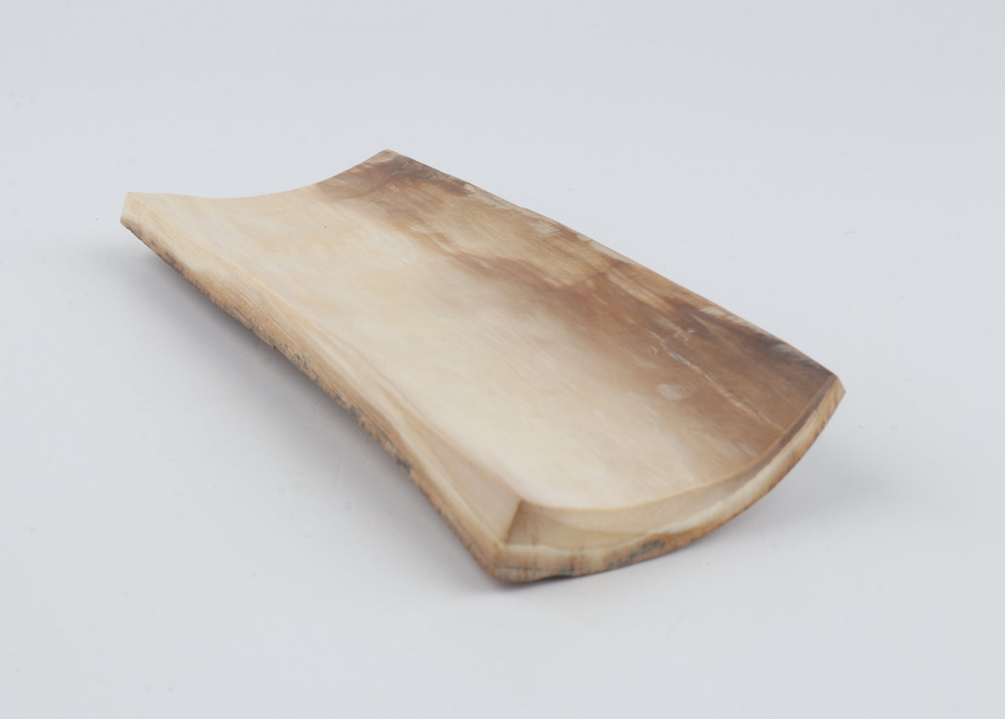 Beige mammoth bark