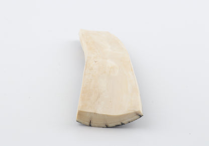 Natural woolly mammoth bark