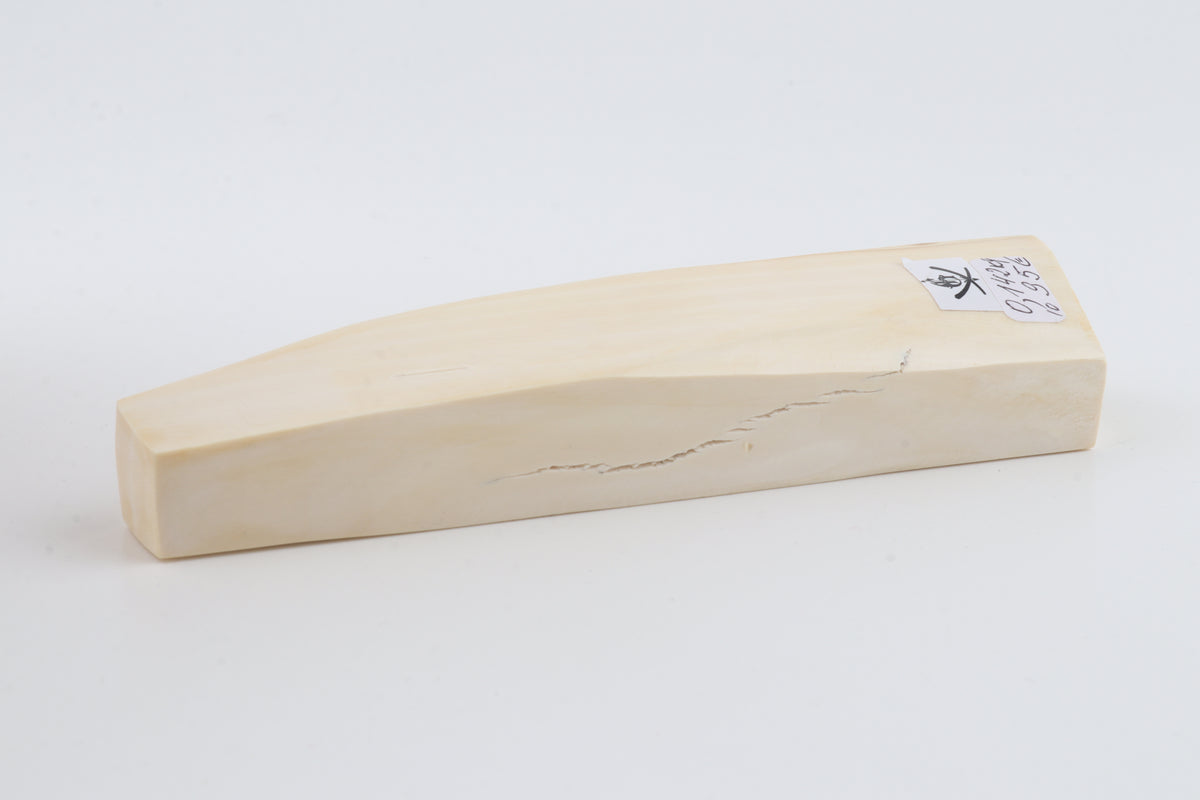White mammoth ivory segment