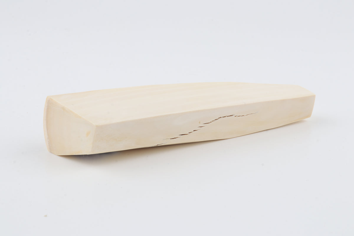White mammoth ivory segment
