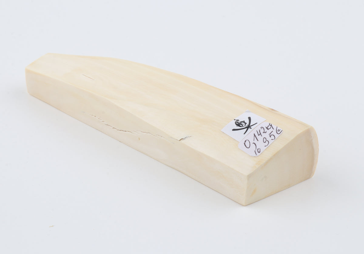 White mammoth ivory segment