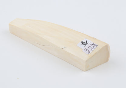 White mammoth ivory segment