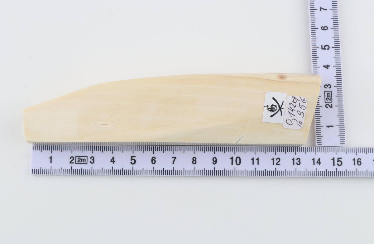 White mammoth ivory segment