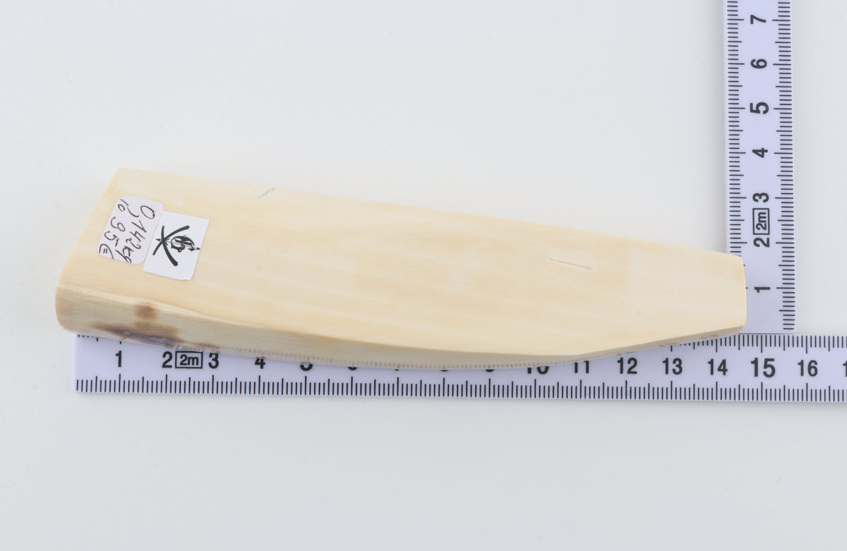 White mammoth ivory segment