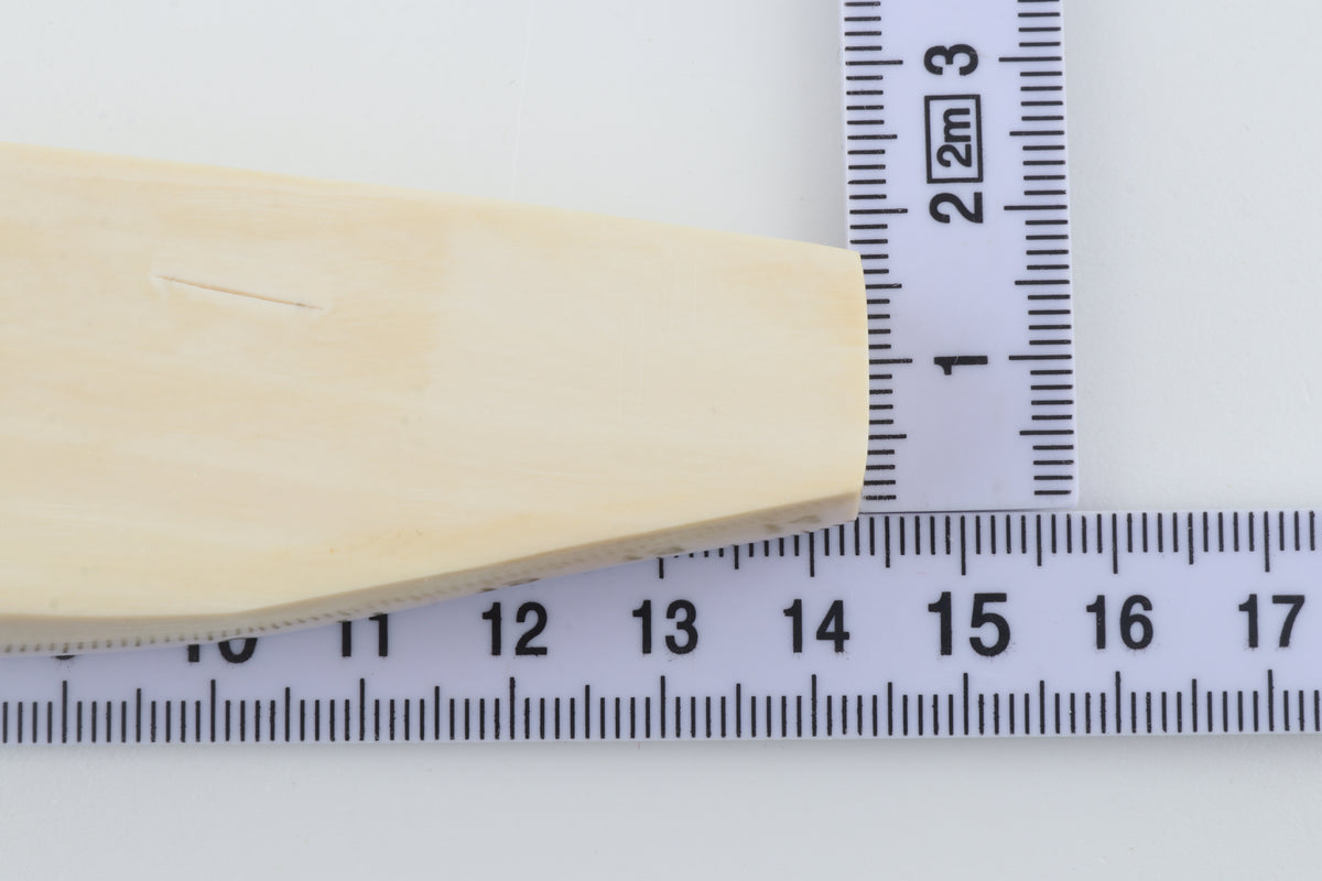 White mammoth ivory segment