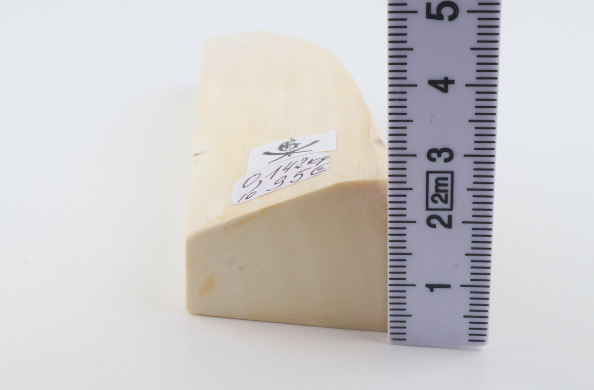 White mammoth ivory segment