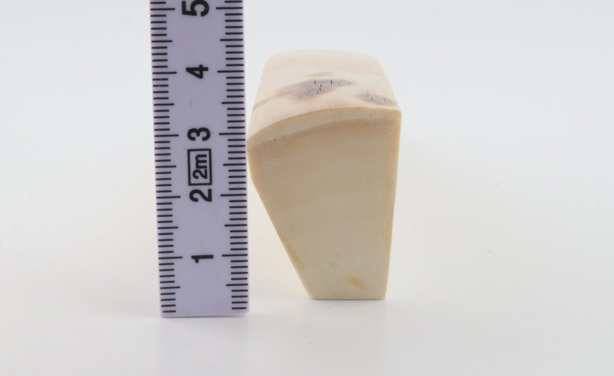 White mammoth ivory segment