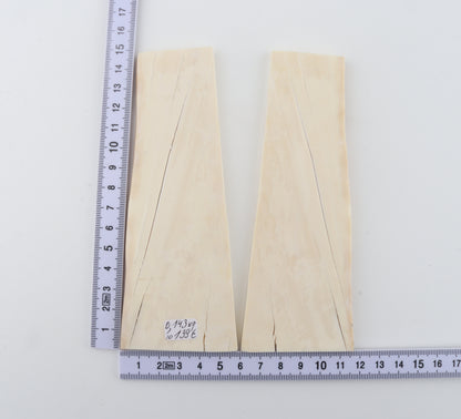 White mammoth ivory scales