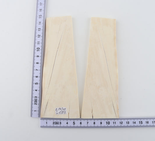 White mammoth ivory scales