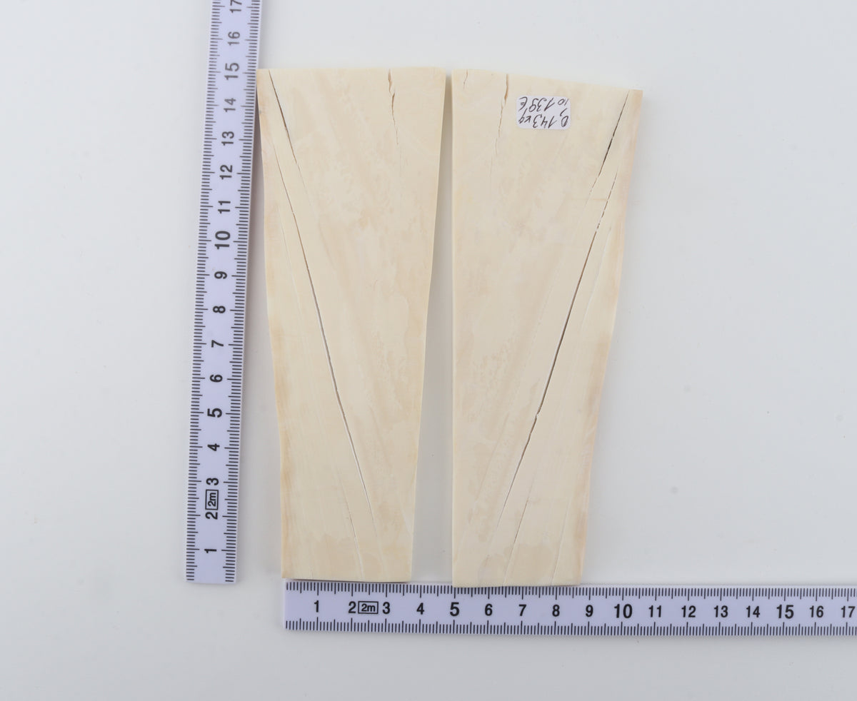 White mammoth ivory scales