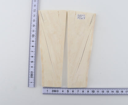 White mammoth ivory scales