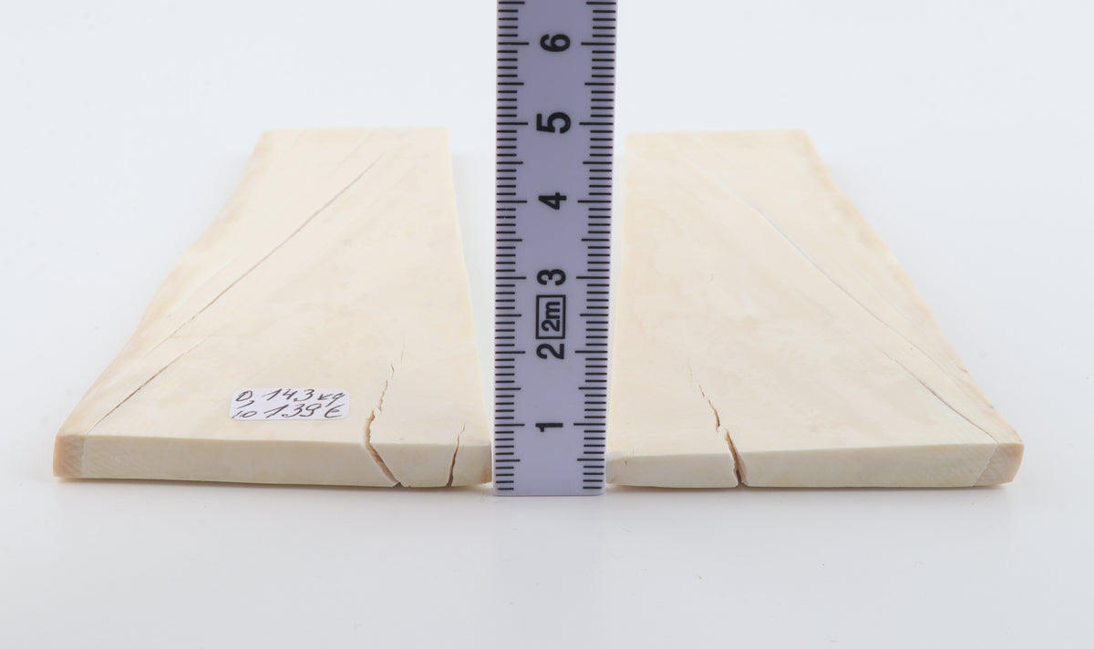 White mammoth ivory scales