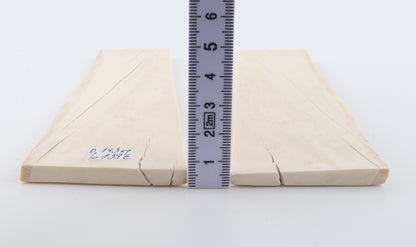 White mammoth ivory scales